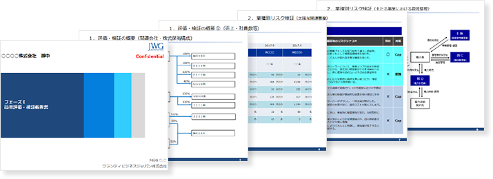 リスク評価・検証報告書